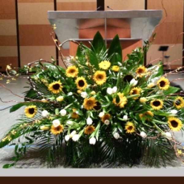 Large stage arrangement of yellow sunflowers and white tulips in an asymmetrical spray.