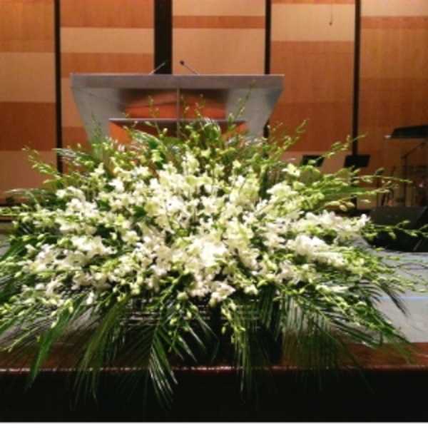 Large white orchid stage arrangement with cascading greenery in front of a podium