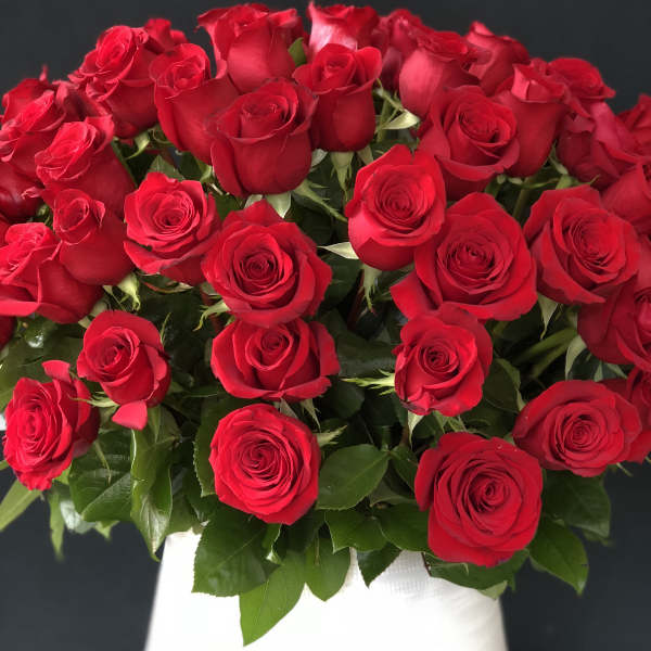 Large arrangement of red roses in a white vase against a dark background
