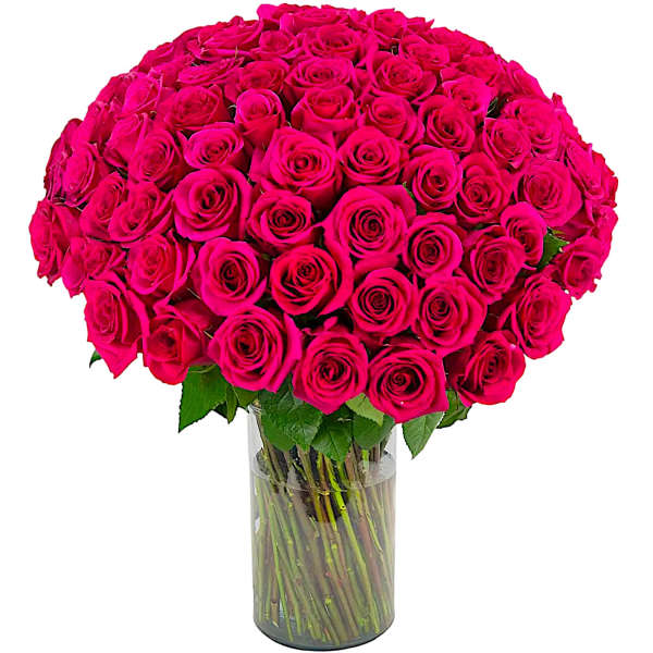 Large bouquet of hot pink roses in a clear glass vase