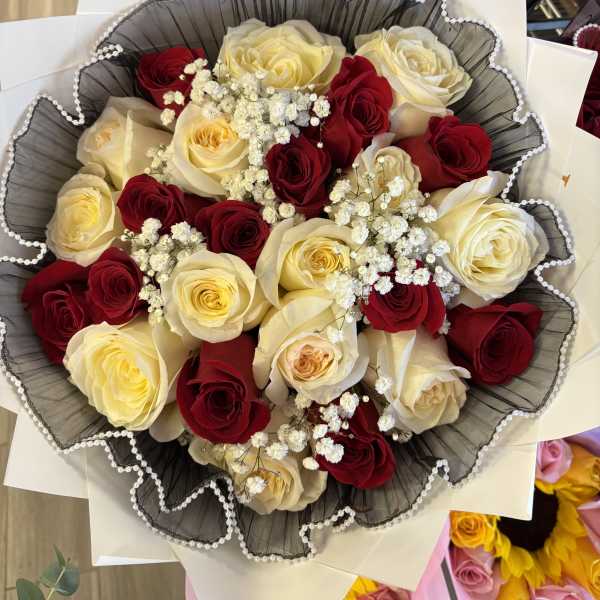 Bouquet of red and cream roses with baby's breath in black and white wrap