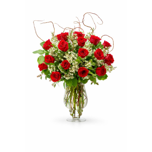 Tall arrangement of long-stemmed red roses with white filler flowers in a clear glass vase