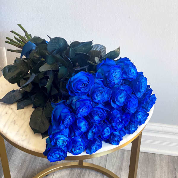 Bouquet of vivid blue roses with dark foliage
