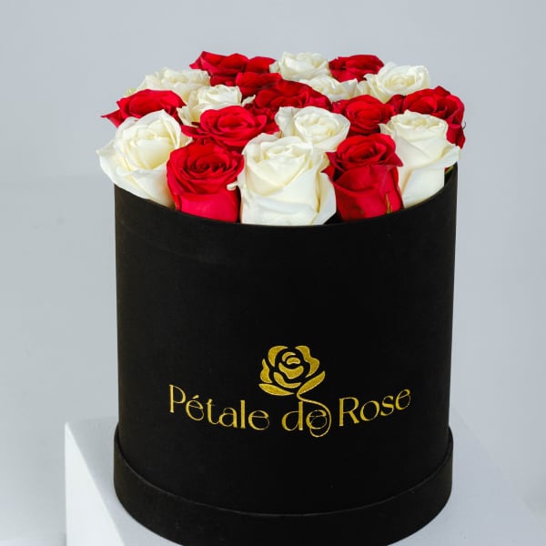 White and Red Large Velvet