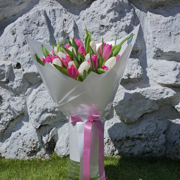 Bouquet of pink and white tulips wrapped in white paper with a pink ribbon