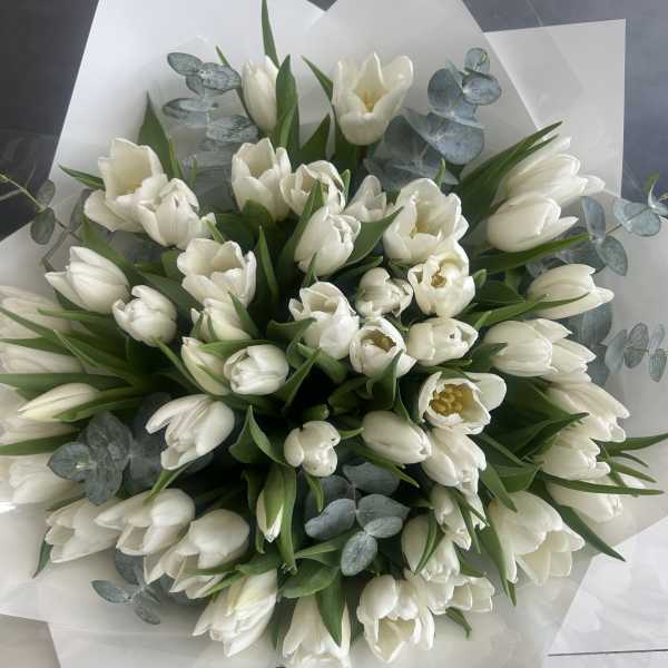 Bouquet of white tulips with eucalyptus in white wrap