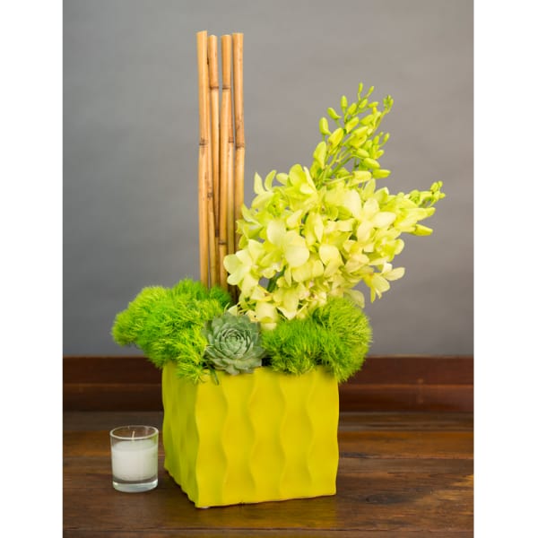 Yellow orchid arrangement in a square vase with bamboo and a succulent