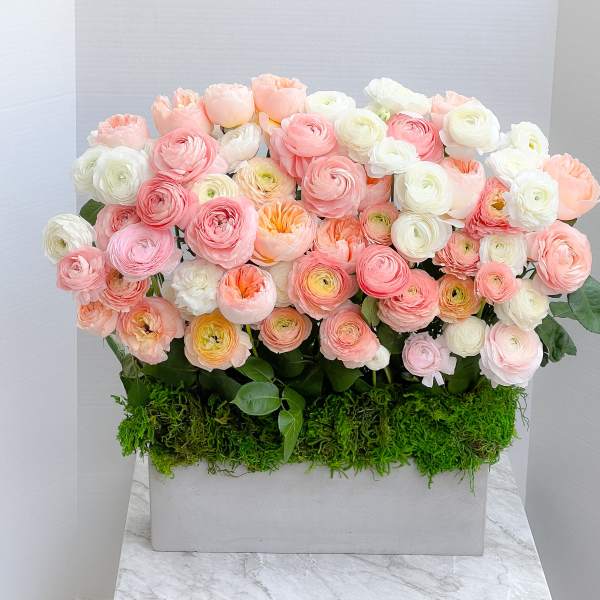 Box arrangement of pink, peach, and white ranunculus flowers