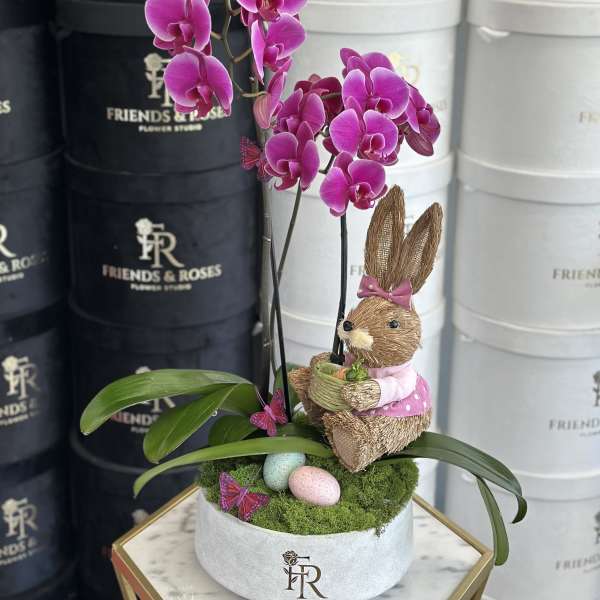 Potted orchid arrangement with a straw bunny and pastel eggs