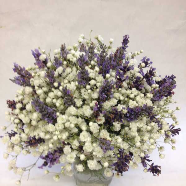 White and purple baby's breath arrangement in a glass vase