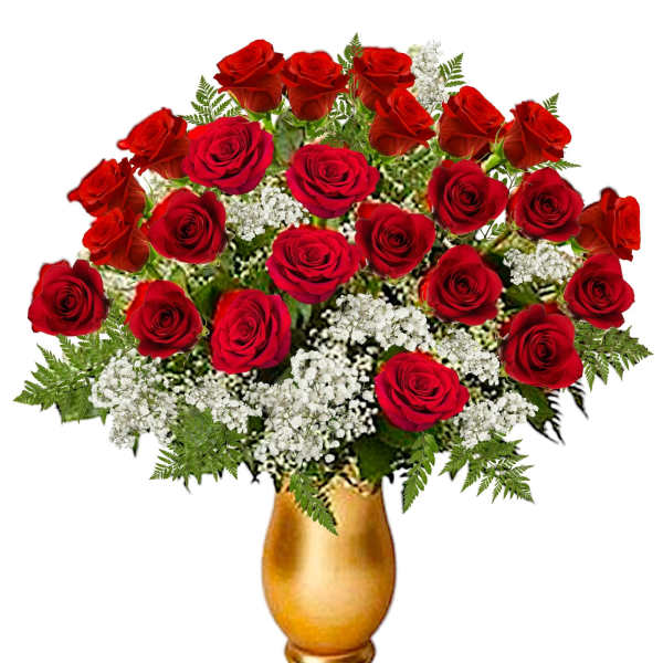 Red roses and white filler flowers in a gold vase