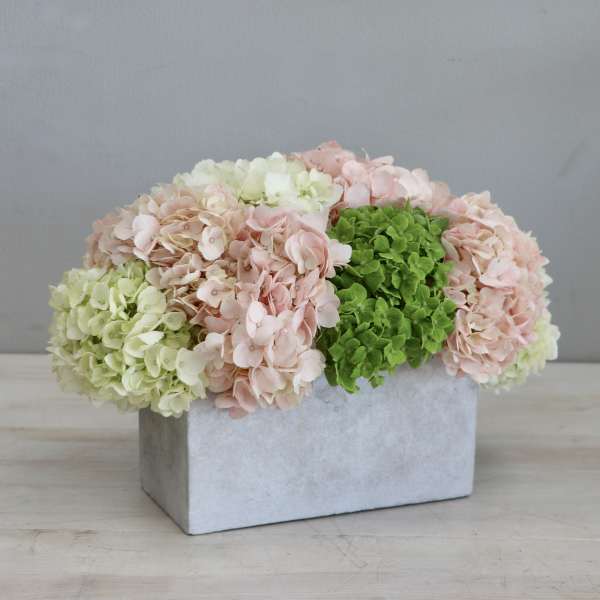 Low arrangement of pastel and green hydrangeas in a rectangular gray concrete container