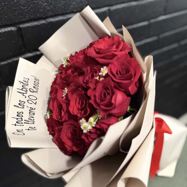 20 Rosas de Abril | April Roses