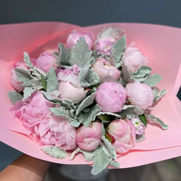 Pink peony bouquet wrapped in pink paper with silvery foliage