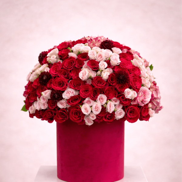 Large dome of red and pink roses in a red box