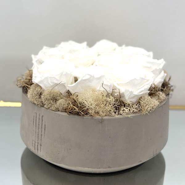 White roses arranged in a round gray box with dried moss