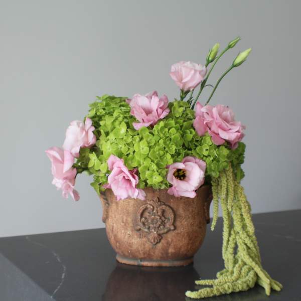Blush Garden in Antique Clay