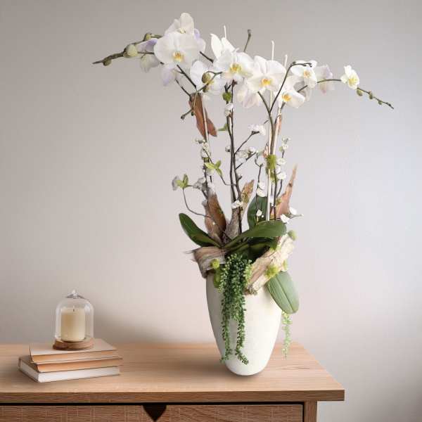 White orchid arrangement in a tall white vase with trailing greenery