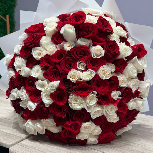 Large bouquet of red and white roses wrapped in white paper