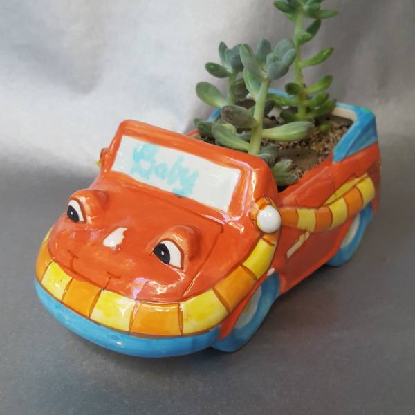 Succulent planted in a colorful car-shaped ceramic pot