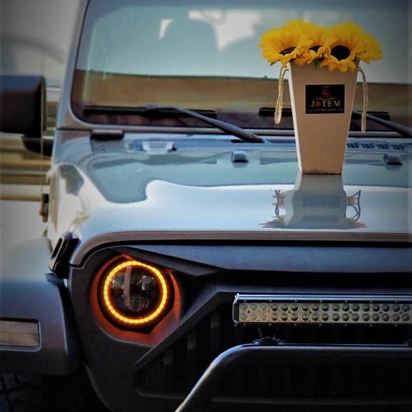 Sunflowers arranged in a tall beige vase on the hood of a Jeep
