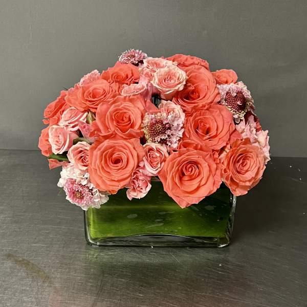 Coral and pink roses arranged in a square glass vase