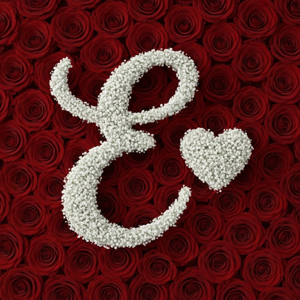 White floral ampersand and heart on a background of red roses