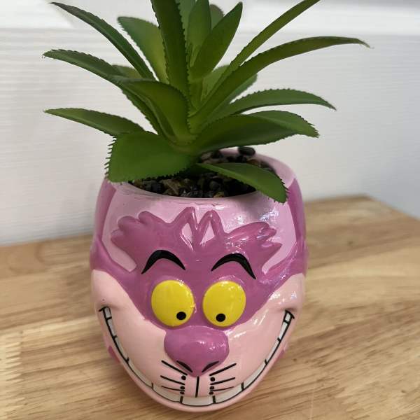 Small succulent in a pink cartoon face planter