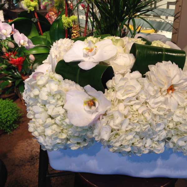 White floral arrangement with orchids and hydrangeas in a rectangular container