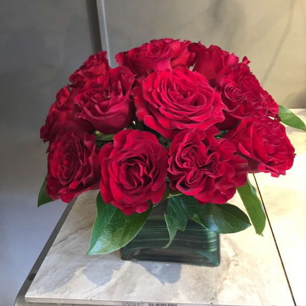 Red roses arranged in a square glass vase