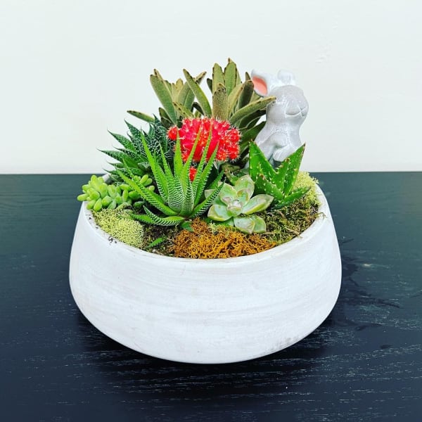 Succulent arrangement in a white bowl with a small rabbit figurine