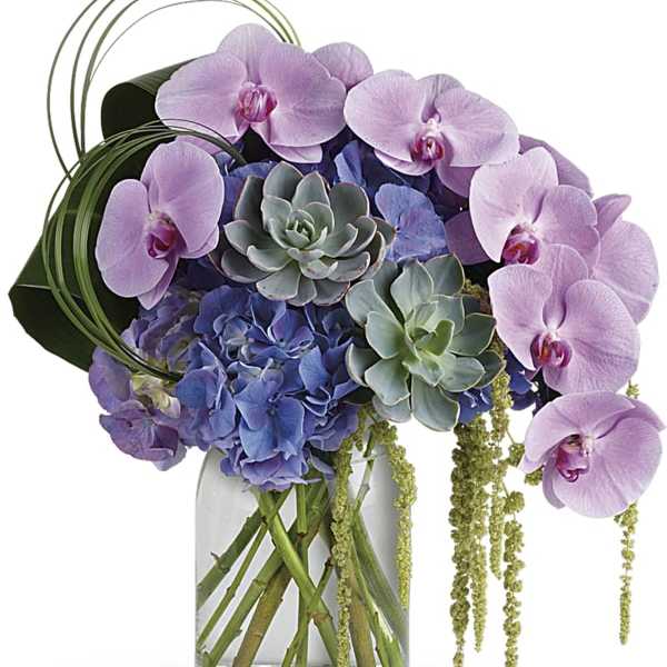 Lavender orchids and blue hydrangeas in a glass vase with succulents