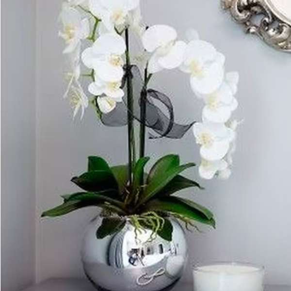 White phalaenopsis orchid plant in a shiny silver round pot beside a white candle and pearl necklace