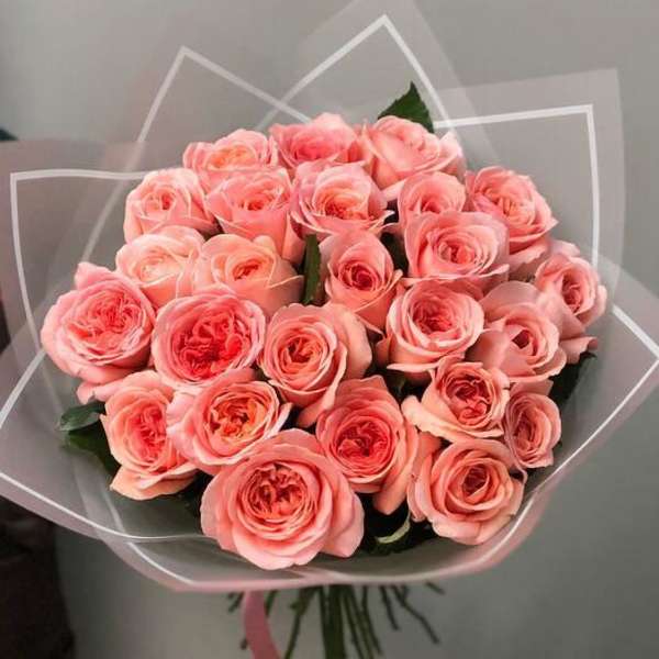 Bouquet of pink roses wrapped in clear paper