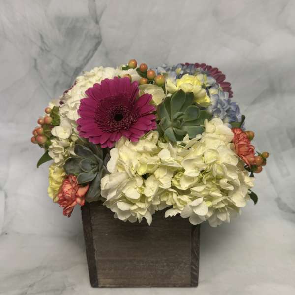 Mixed flowers in a dark wooden box with a bright pink daisy-like bloom