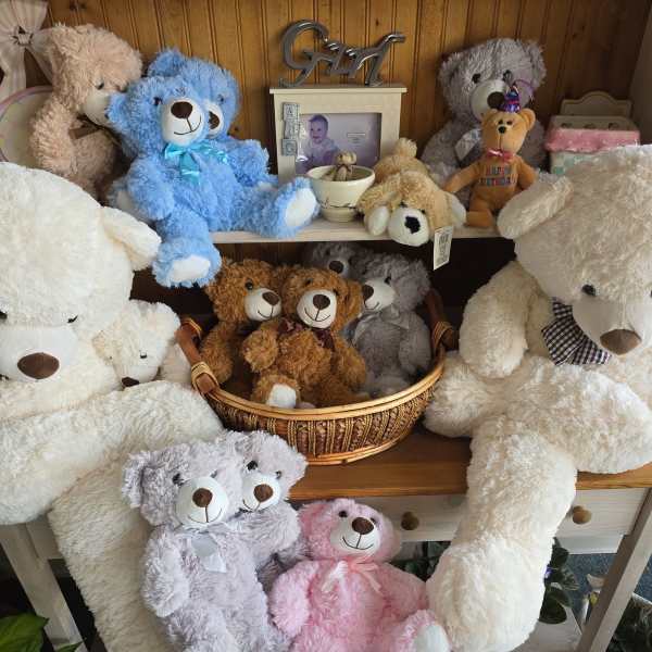 Assorted teddy bears displayed on shelves and in baskets