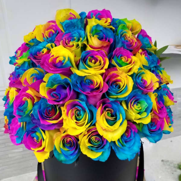 Rainbow-colored rose bouquet in a black hat box