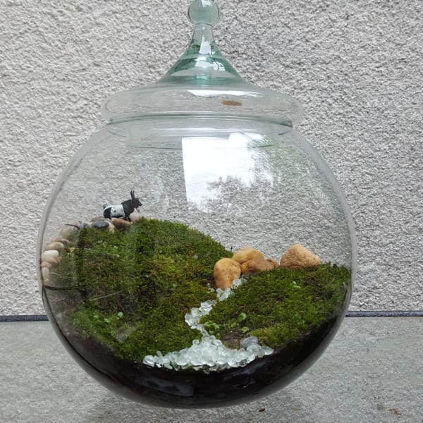 Glass terrarium with moss, pebbles, and a small cow figurine