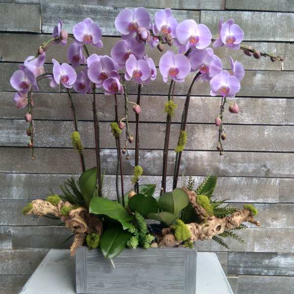 Lavender orchid arrangement in a gray wooden planter