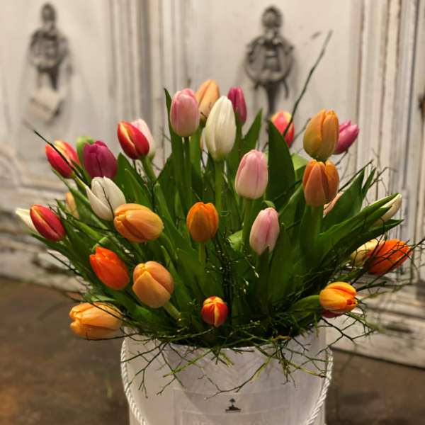Tulip Paradise