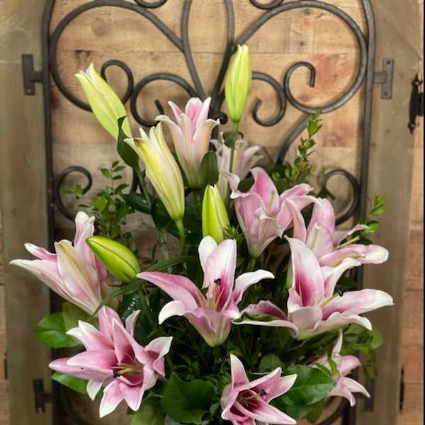 Pink and white lilies arranged in a white vase