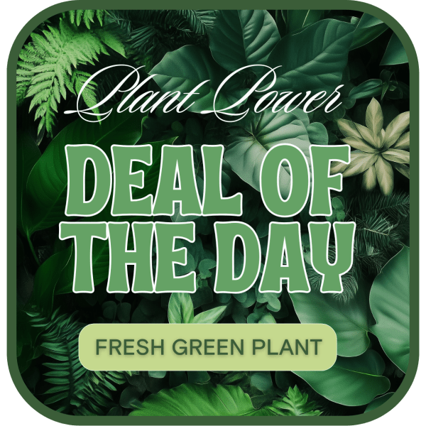 Green plant-themed sale graphic with large text and leafy background
