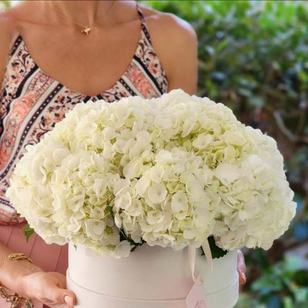 White hydrangea arrangement in a round white box