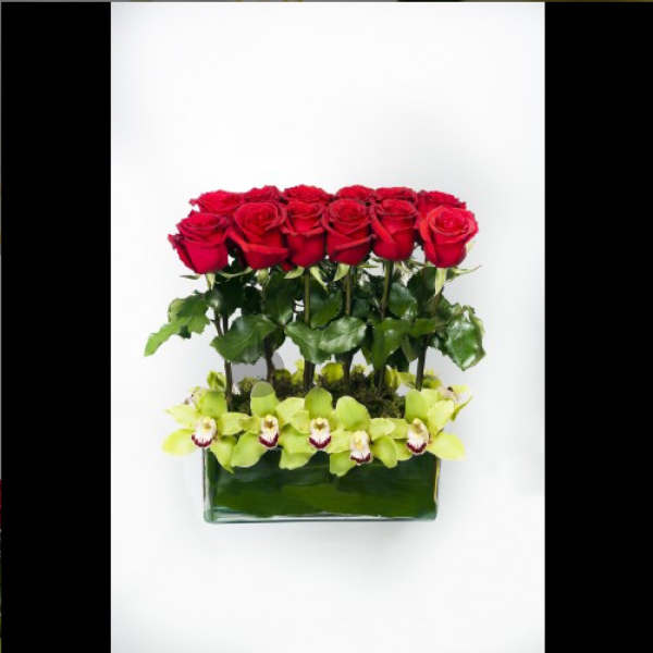 Red roses and green orchids in a rectangular glass vase
