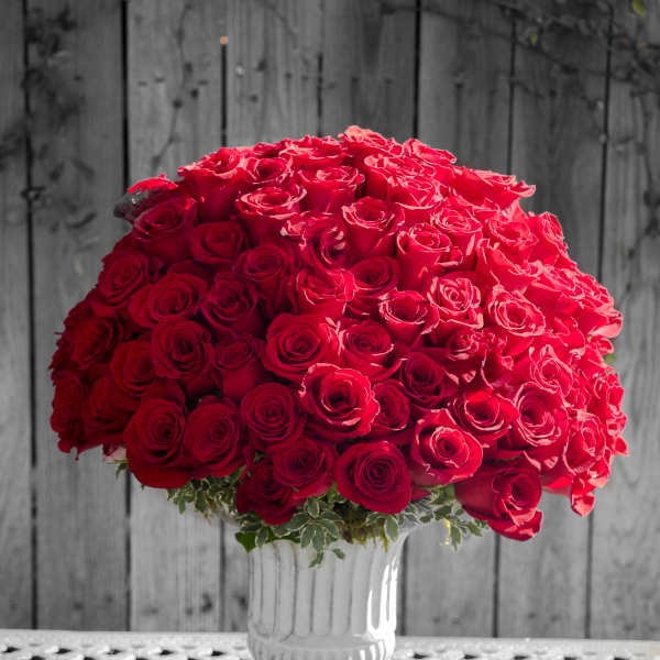 Large bouquet of red roses in a white pedestal vase