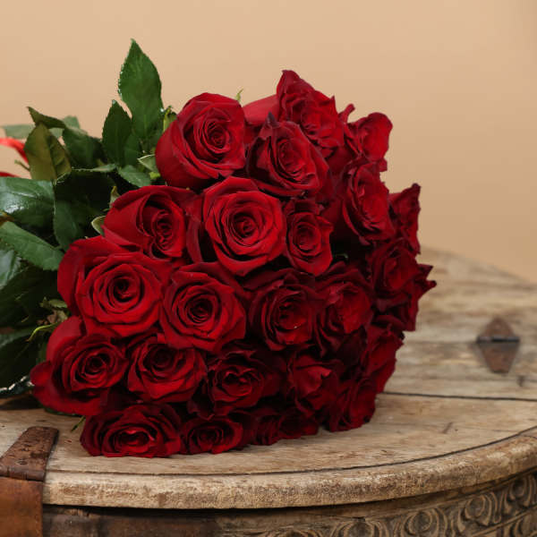 25 Premium Medium Stem Roses