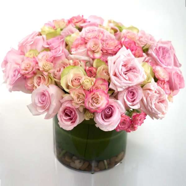 Spring Roses - David Z Designs