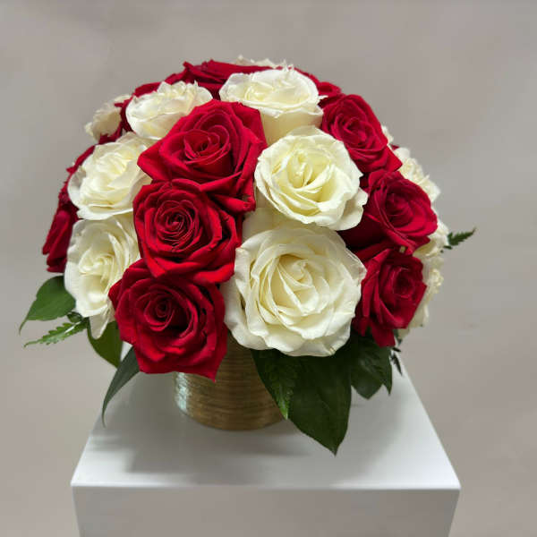 Red and white roses arranged in a gold vase