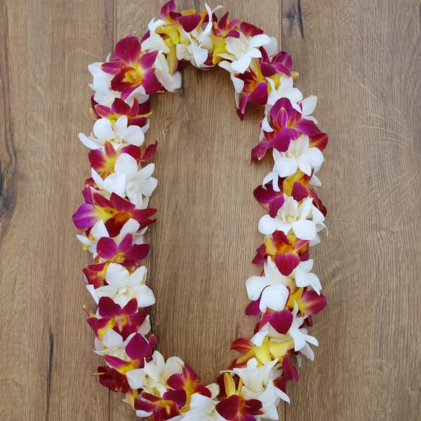 A floral lei made of white, pink, and yellow orchids