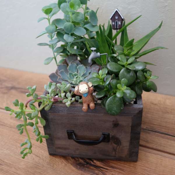 Succulent arrangement in a wooden box with a small figurine and house pick